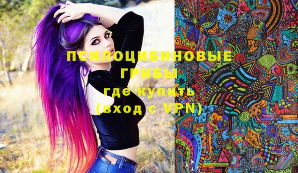дживик Беломорск
