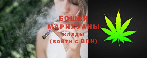 spice Белокуриха